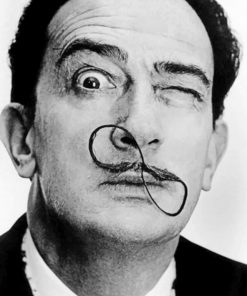 Salvador Dali Infinity Mustache paint by numbers