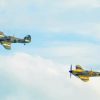Two Spitfires Fighter paint by number