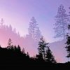 Yosemite Valley Trees Silhouette paint by number