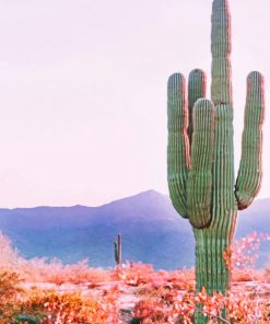 Cactus In Phoenix Arizona paint by numbers