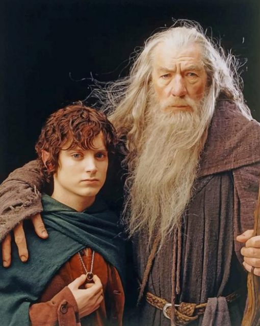 Gandalf And Frodo paint by numbers