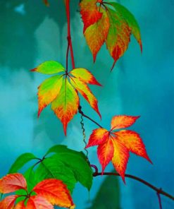 Colorful Leaves paint by numbers