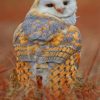 Snowy Owl paint by numbers