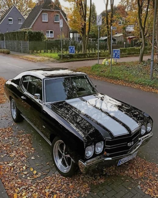 Black Chevrolet Chevelle paint by numbers