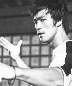 Bruce Lee The Dragon paint by numbers