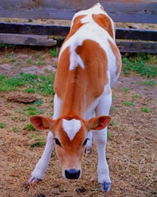 Cute Beautiful Cow paint by numbers
