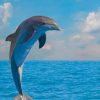 Dolphin Animal paint by numbers