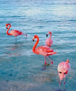 Flamingos In Beach paint by numbers