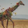 Flower Giraffe paint by numbers