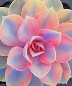 Pink Succulent Plant paint by numbers