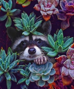 Succulent Racoon paint by numbers