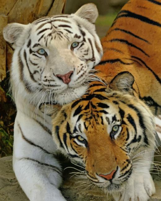 White And Brown Tiger paint by numbers