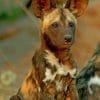 African Wild Dog paint by numbers