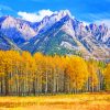 Aspens At Sawback Range Paint By Numbers