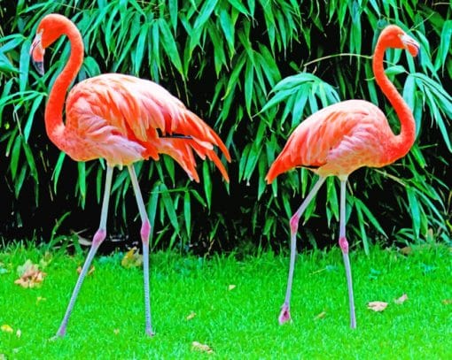 Attractive Flamingos Paint By Numbers