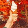 Autumn-Ice-Cream