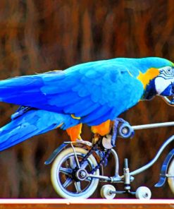 Blue Parrot On Bicycle paint by numbers