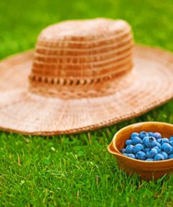 Blueberry Fruits And Hat paint by numbers
