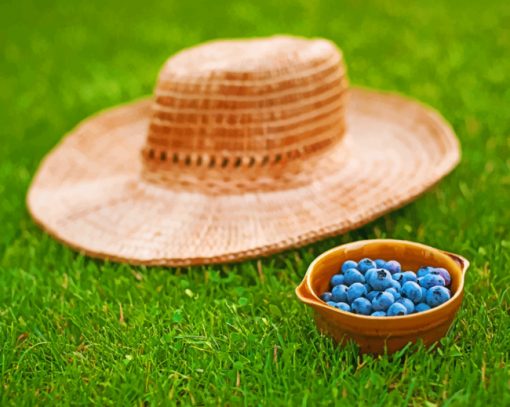 Blueberry Fruits And Hat paint by numbers