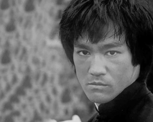 Bruce Lee Kong Fu Master paint by numbers