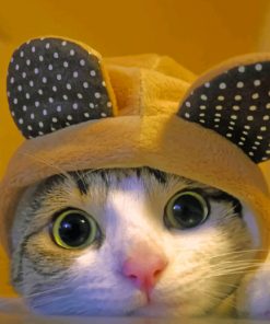 Bunny Hat On Cat paint by numbers