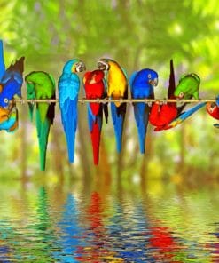 Colorful Macaws Paint By Numbers