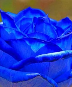 Dark Blue Rose paint by numbers