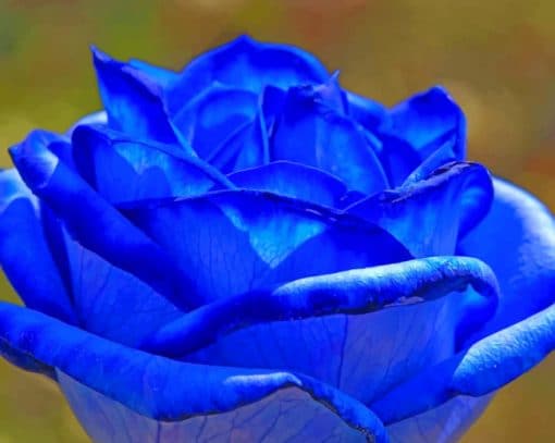 Dark Blue Rose paint by numbers
