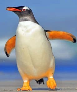 Gentoo Penguin paint by numbers