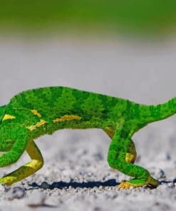 Green Gecko Lizard paint by numbers