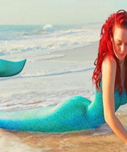 Irish Mermaid Paint By Numbers
