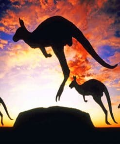 Jumping kangaroos Paint By Numbers