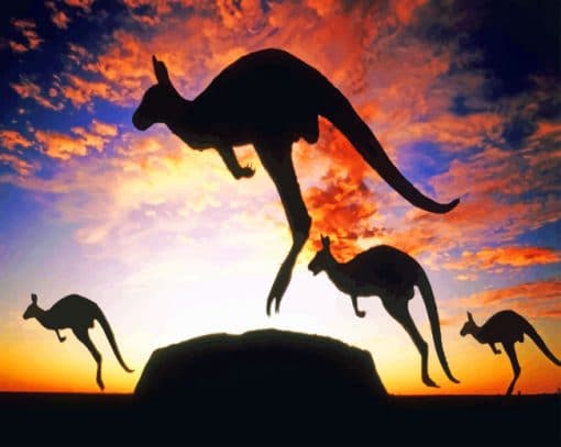 Jumping kangaroos Paint By Numbers