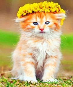Kitten With Flowers Crown paint by numbers