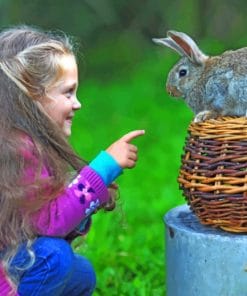 Little Girl With Rabbit paint by numbers