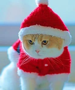 Little Kitty In Santa Red Cloths paint by numbers
