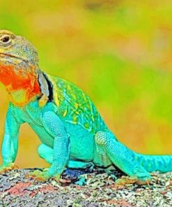 Lizard Amphibian Reptile paint by numbers