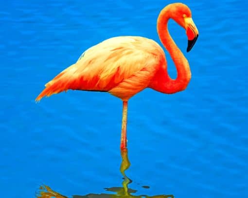 Lone Flamingo Paint By Numbers