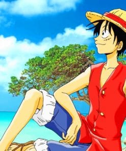 Luffy D Monkey paint by numbers