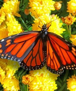 Monarch Checkered Butterfly paint by numbers