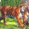 Mother Tiger And Its Cub Paint By Numbers