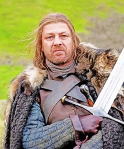 Ned Stark Family Sword paint by numbers