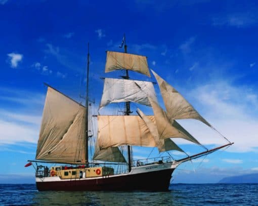 Ocean Sailing Ship paint by numbers