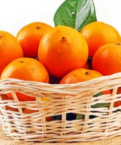 Orange Fruits in Basket paint by numbers