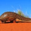 Pangolin Desert Animal paint by numbers