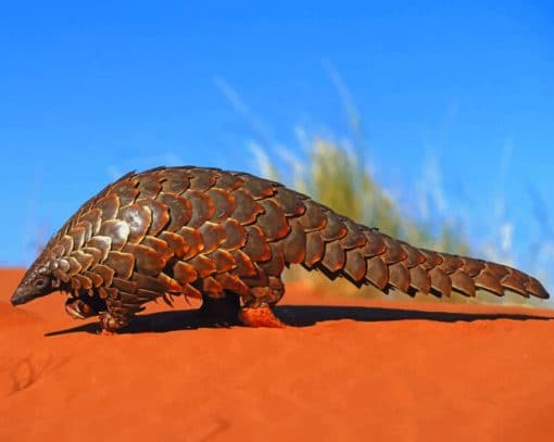 Pangolin Desert Animal paint by numbers