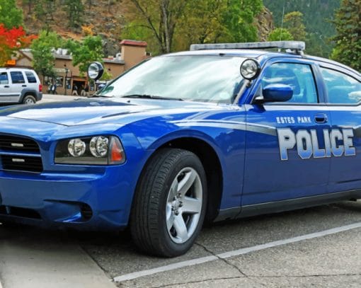Police Car Paint By Numbers