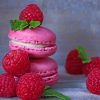 Raspberry Macarons paint by numbers
