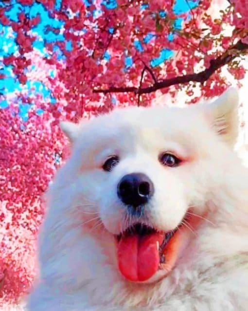 White Samoyed Under Cheery Blossom Tree paint by numbers