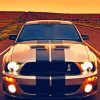 Shelby Mustang paint by numbers